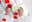 Scientifiques collaborateurs
